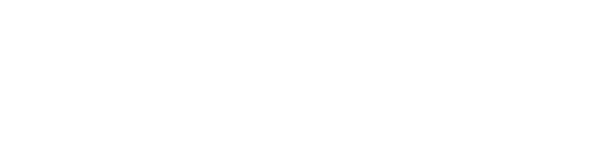 logo light